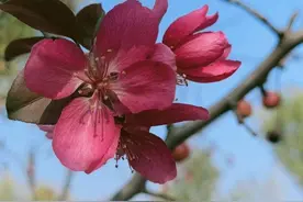 龙湖湿地公园图片