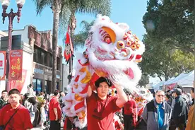今年春节，我们这样过（侨界关注）图片
