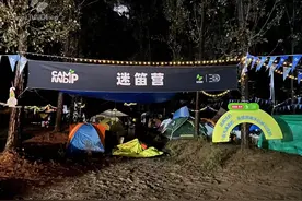 南阳迷笛“偷盗事件”引热议，音乐节这“泼天富贵”怎么接？图片