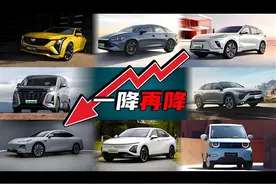 续补、直降、清仓……2025年第一场价格战哨声吹响！超30家汽车品牌开年集体降价图片