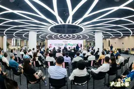 城市流浪猫如何治理？社区爱猫人士组成了志愿服务队……图片