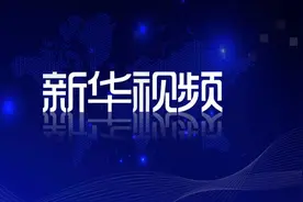 习近平会见俄罗斯外长拉夫罗夫图片