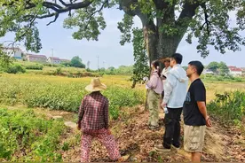 怀宁县江镇镇：“秸”尽全力禁烧 守护蓝天净土图片