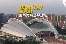 体育视评｜国足世预赛生死战，主场为何选择沈阳？图片