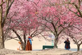 春暖花开 踏青赏景正当时图片