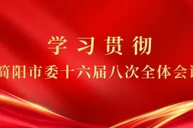 全会访谈：踔厉奋发 笃行实干 加快打造“天府门户、空港简阳”图片