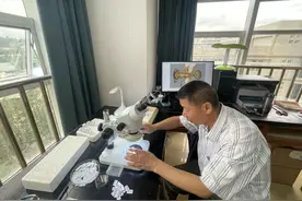 研究蚂蚁34年的西南林大教授徐正会测定：版纳蚂蚁总数为52万亿头图片