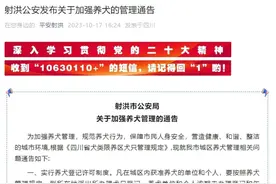 “崇州事件”后多地紧急发文严管养狗，有执法人员上街抓狗，律师：需政府及物业等多方协力图片