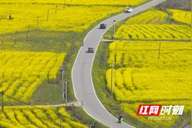 组图丨来岳阳楼畔 赴一场春季限定浪漫图片