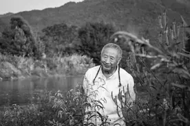 顾村言｜石虎印象六题图片