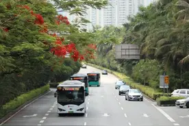 明日起，深圳这些公交线路有调整图片