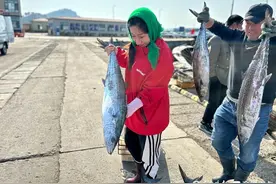 微纪录·青岛故事丨从浪尖到舌尖，青岛鲅鱼漂流记图片