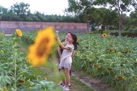 花田打卡图片