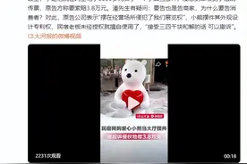 民宿老板网购三千元小熊当摆件放大厅，被起诉侵权赔偿3.8万元，原告：侵犯展览权图片