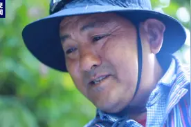 新墨脱故事：从背夫到种茶人图片