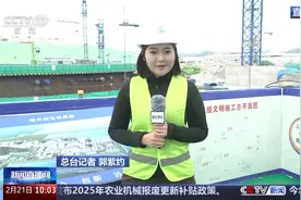 人勤春来早 开工干劲足丨探访全球最大“华龙一号”核电基地 核电机组“组团出道”图片