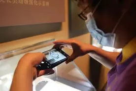万千气象看中国丨看“国宝第一市”如何实力“圈粉”图片