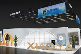 山东小鸭集团部分业务收入公开，家电等板块去年前三季度营收逾8亿图片