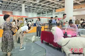 中部（长沙）宠博会开幕 展行业新趋势图片