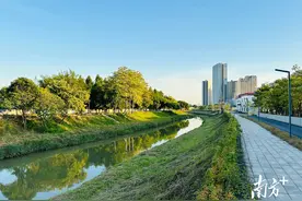赴一场自然之旅，东莞西南河碧道寮步镇段成亲水休闲好去处图片