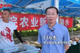 “尔滨”凭啥斩获“中国寒地小龙虾之都”？图片