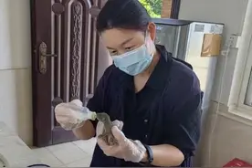 土拨鼠成了新晋网红，但再萌也别与这个小家伙亲密接触！图片