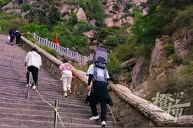 宝妈花518元雇体育生背娃爬泰山？本人最新发声图片
