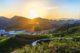 广州海珠：粤黔共建产业园，山海合力产业兴图片
