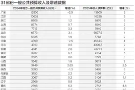 31省份今年财政收入预计平均增长2.8%，释放哪些信号图片