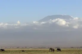 报名费上万的科考旅行团，怎么火了？图片