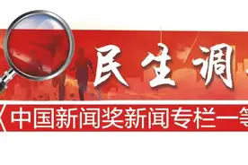 大树倒伏都是风雨惹的祸？“健康体检”很重要图片
