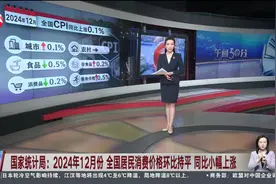 国家统计局：2024年12月份 全国居民消费价格环比持平 同比小幅上涨视频封面