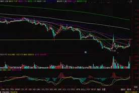 种业板块狂飙7% 神农种业20%涨停图片