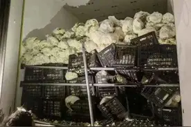 山东货车浙江侧翻，14000斤花菜怕烂掉，当地人出手一颗颗全买光图片