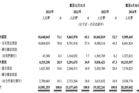 中和农信再度递表港交所，助贷业务佣金收入同比增长超60%｜大鱼财经图片