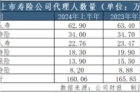 上市险企半年报观察③｜上半年“纳新”与“清虚”同步，但个险代理人的挑战远未结束图片