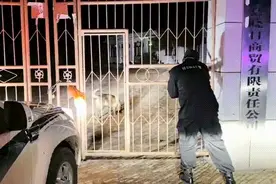 疯狗发作咬伤主人！榆林民警果断击毙图片