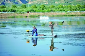 瞧，这些田间地头的新农人图片