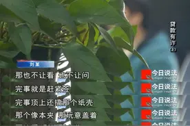 莫名背上百万贷款，只因出借身份帮人买房，多人落入“征信贷款”陷阱图片