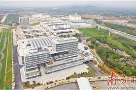 惠州粤港澳大湾区绿色农产品生产供应基地初具规模图片