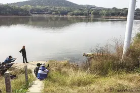 请不要打扰新“客人”  ！淮南老龙眼水库飞来一只受伤的赤麻鸭图片