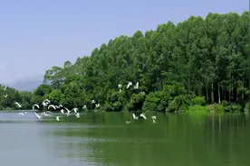 广州增城：打好水资源保护“组合拳”，绘就“人水和谐”秀美生态画卷图片