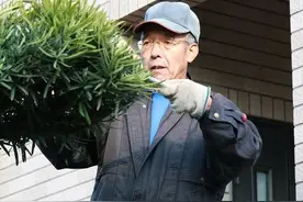 81岁新人！日本“银发就业族”获好评：比年轻人还优秀图片
