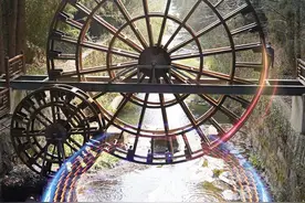 倒计时8天！去“滇南名胜”黑龙潭，赴一场与花的约会图片