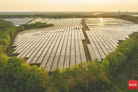 海口探索建立农光互补蔬菜种植基地图片