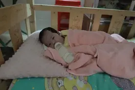 回访深圳四胞胎家庭：月开销一万多，曾拒绝好心人收养图片
