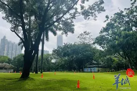 广州部分公园试行帐篷预约制，露营管理值得关注图片