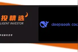 “鲶鱼”梁文锋：左手幻方量化，右手DeepSeek图片