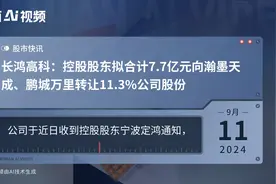 长鸿高科：控股股东拟合计7.7亿元向瀚墨天成、鹏城万里转让11.3%公司股份视频封面