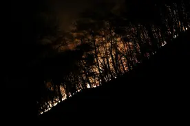 韩国多地山火复燃 死亡人数升至30人图片